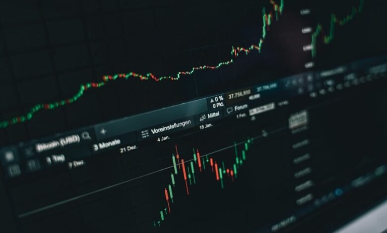 investment insights and projections