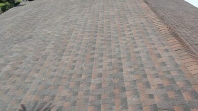 Why South Florida Roofs Fail Faster and What Homeowners Can Do About It