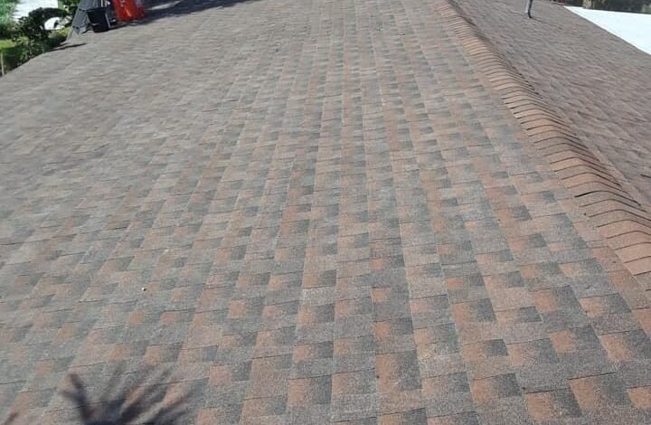 Why South Florida Roofs Fail Faster and What Homeowners Can Do About It