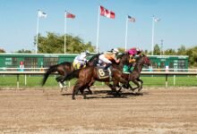 competitive strategy model market momentum