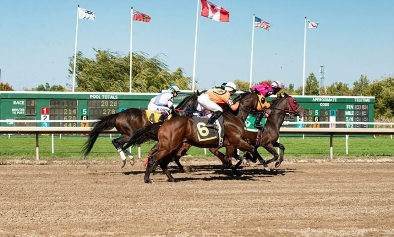 competitive strategy model market momentum