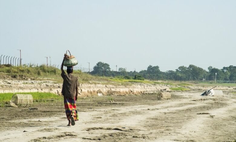 discover fresh paths everyday improvement