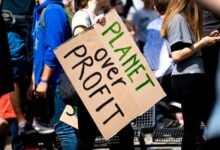 gravity surge profit orbit