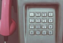 trusted consumer insight from 0800 number