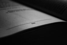a beginner s guide to 3509353823