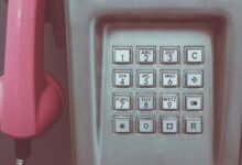 phone number trend captivates online